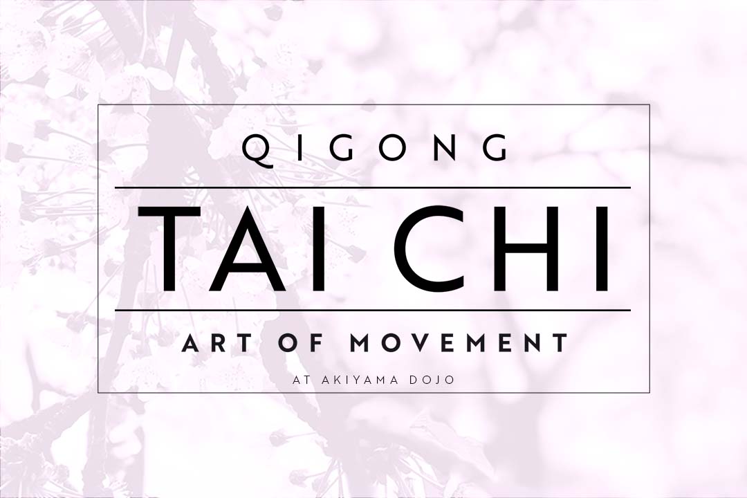 tai chi & chigong banner